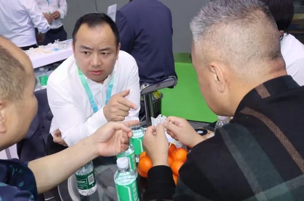 耐磨性高種植模型材料